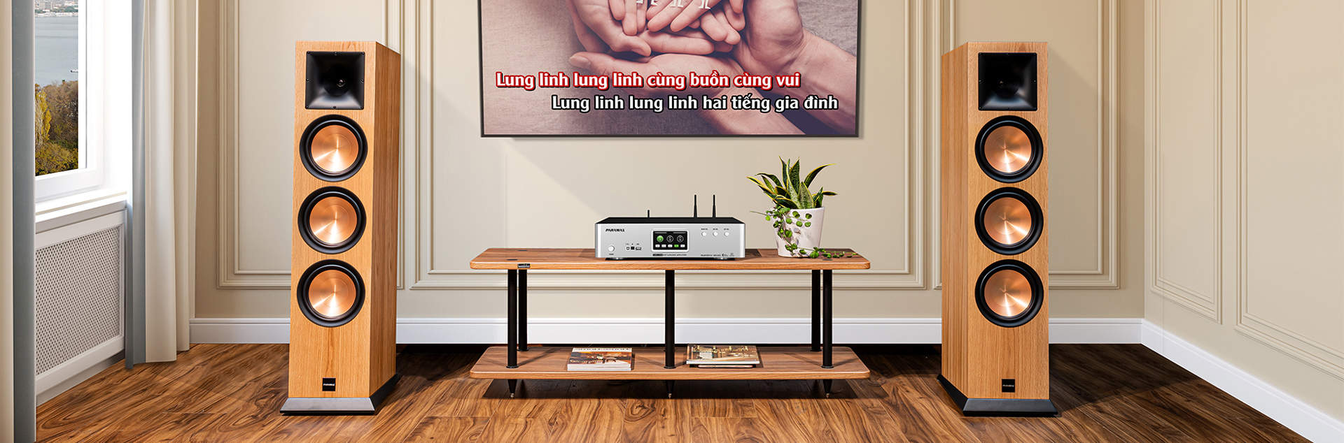 Loa Nghe Nhạc và Karaoke Hi-Fi Paramax EURO 803 Classic